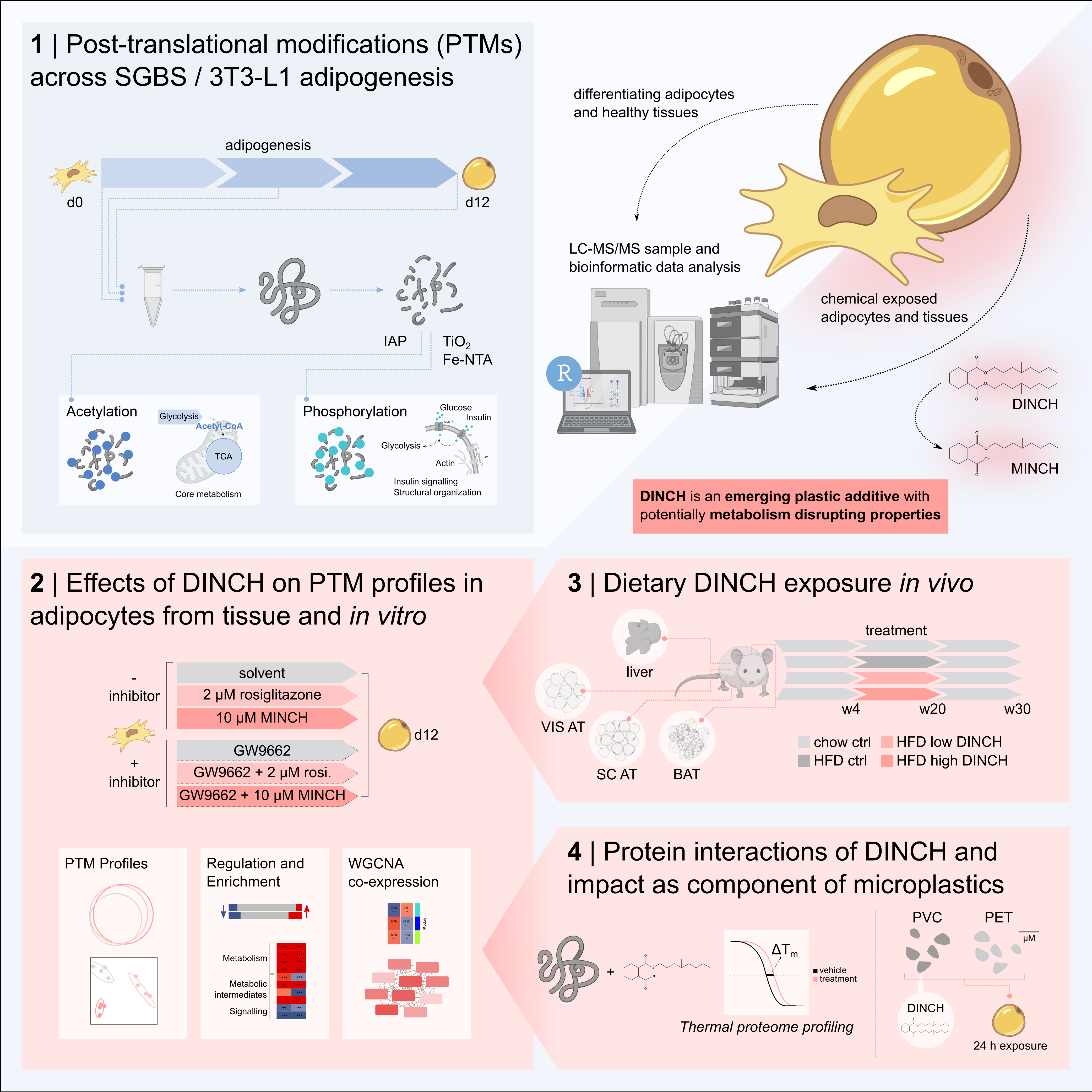 Graphical Abstract_SFB1052_PTMS